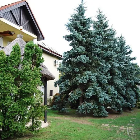 See Vendeghaz - Siofok